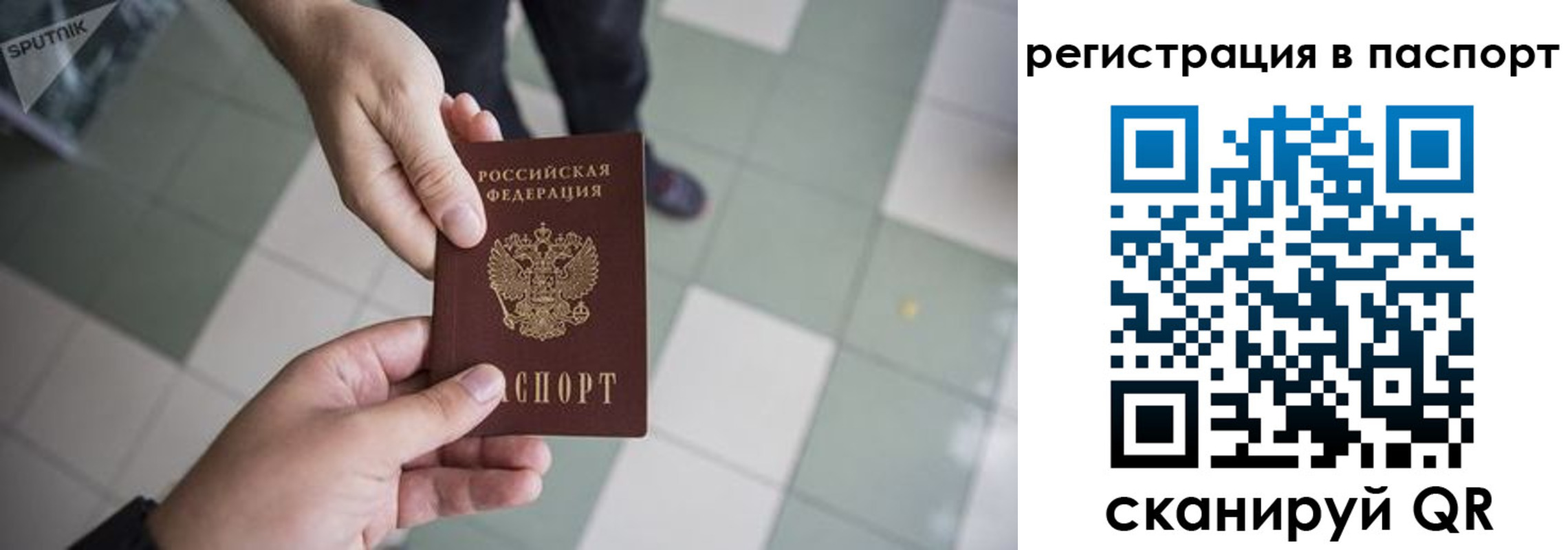 прописка гарантия в Туле